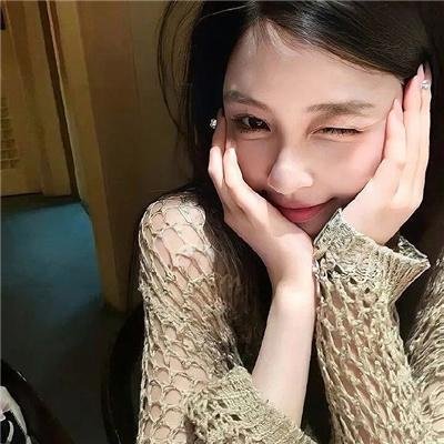 狐狸之声国语